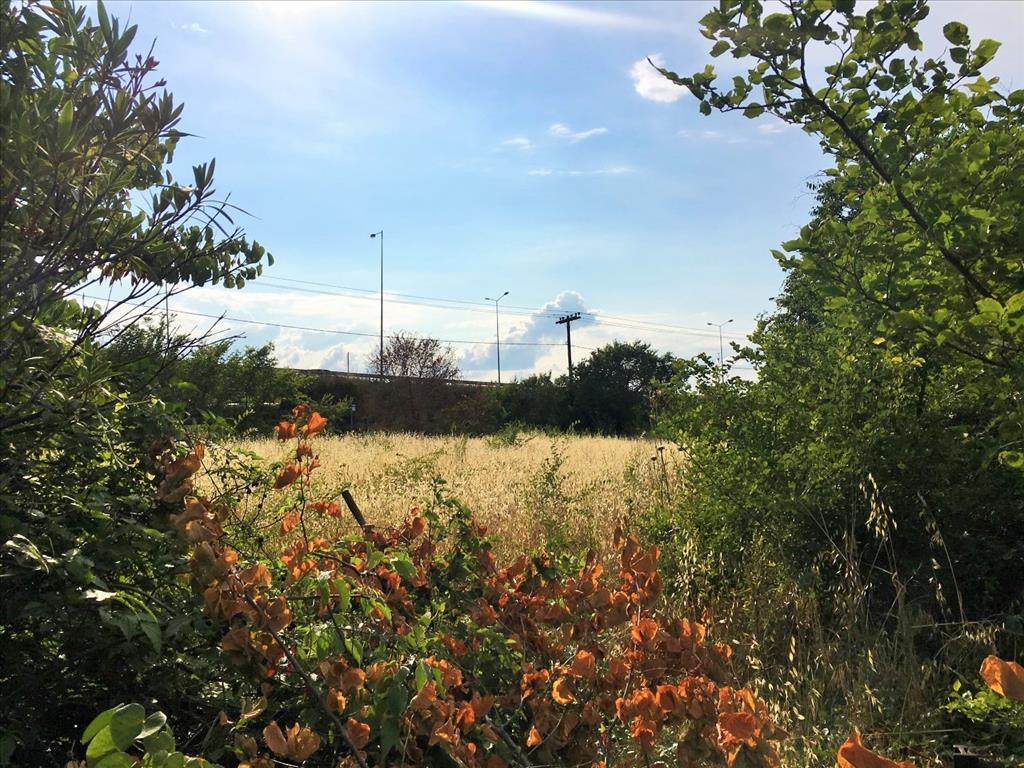 Земля в Салониках, Греция, 8 125 м² - фото 7