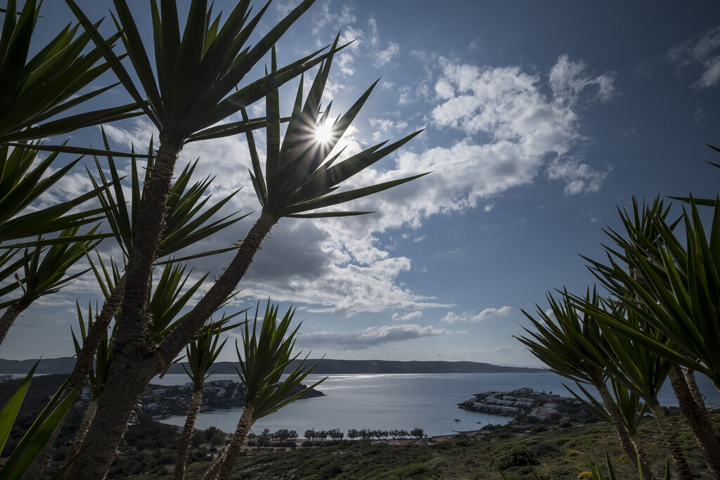 Вилла в Аттике, Греция, 240 м² - фото 7