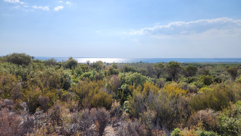 Земля в Ситонии, Греция, 37 500 м² - фото 7