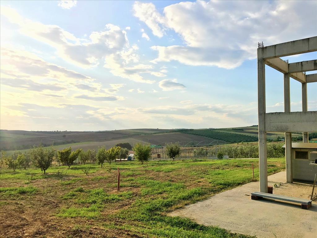 Дом в Салониках, Греция, 410 м² - фото 7