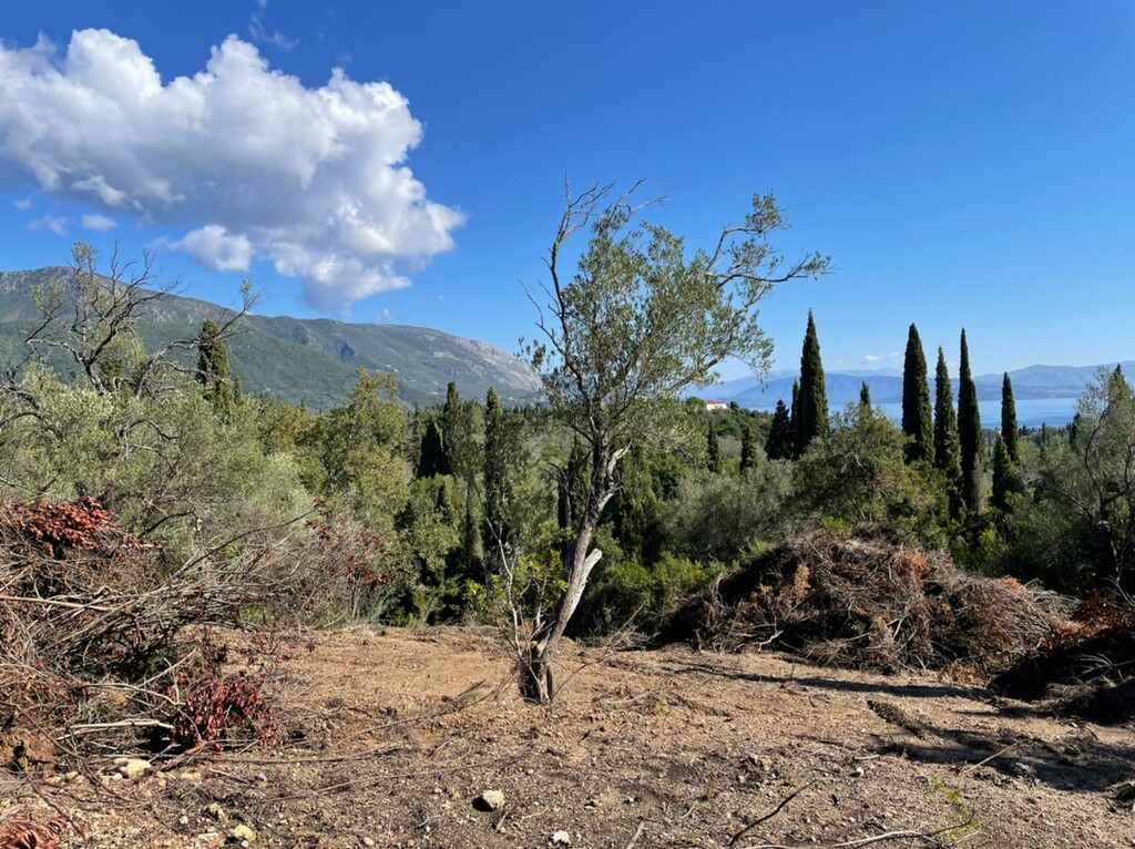 Земля на Корфу, Греция, 4 100 м² - фото 7