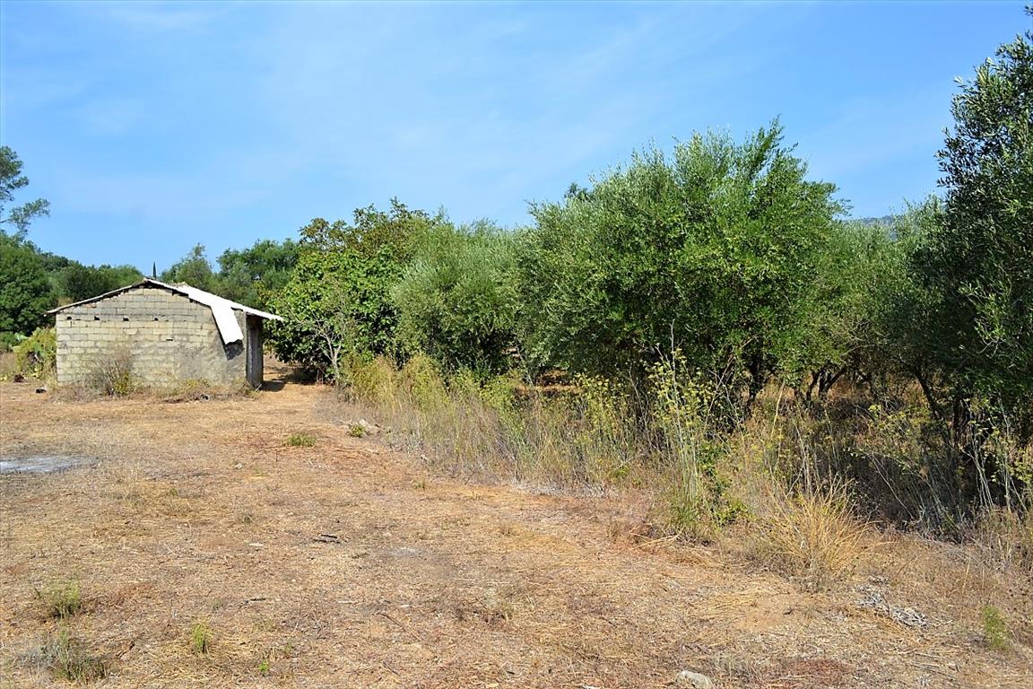 Земля на Корфу, Греция, 60 000 м² - фото 7