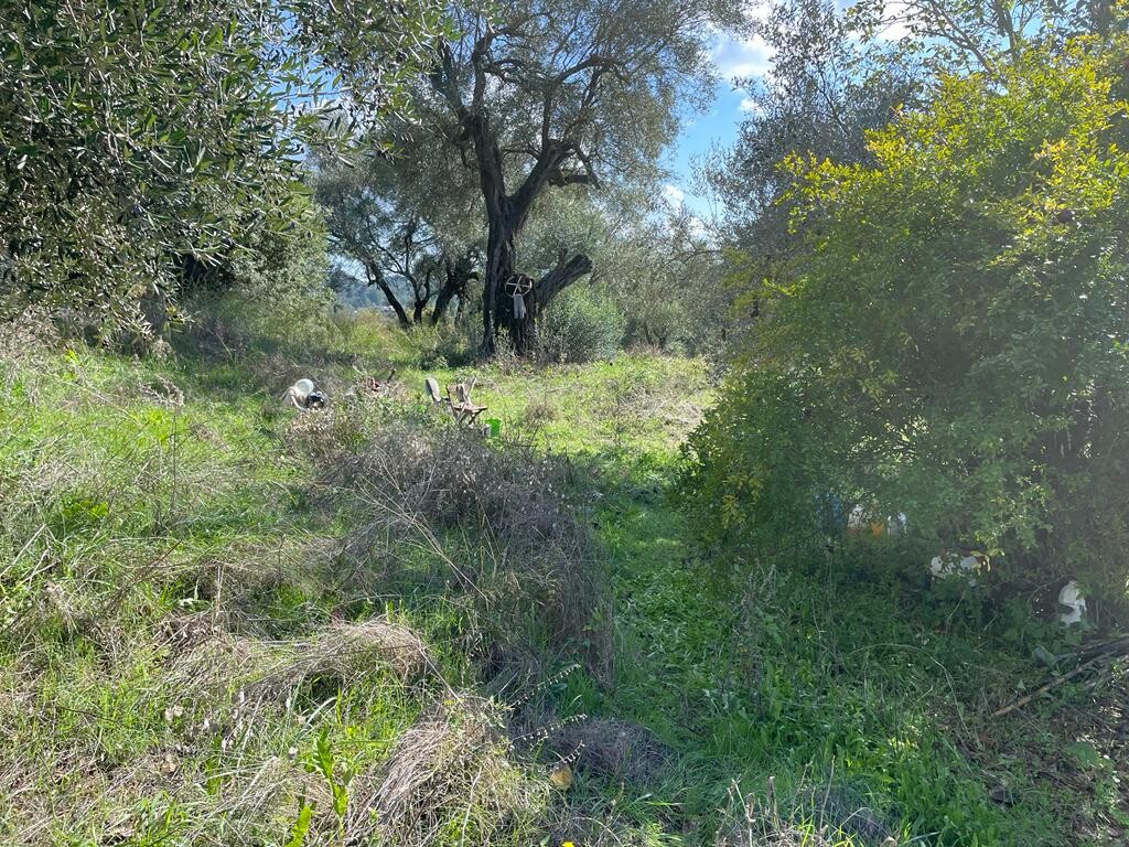 Земля на Корфу, Греция, 5 500 м² - фото 7