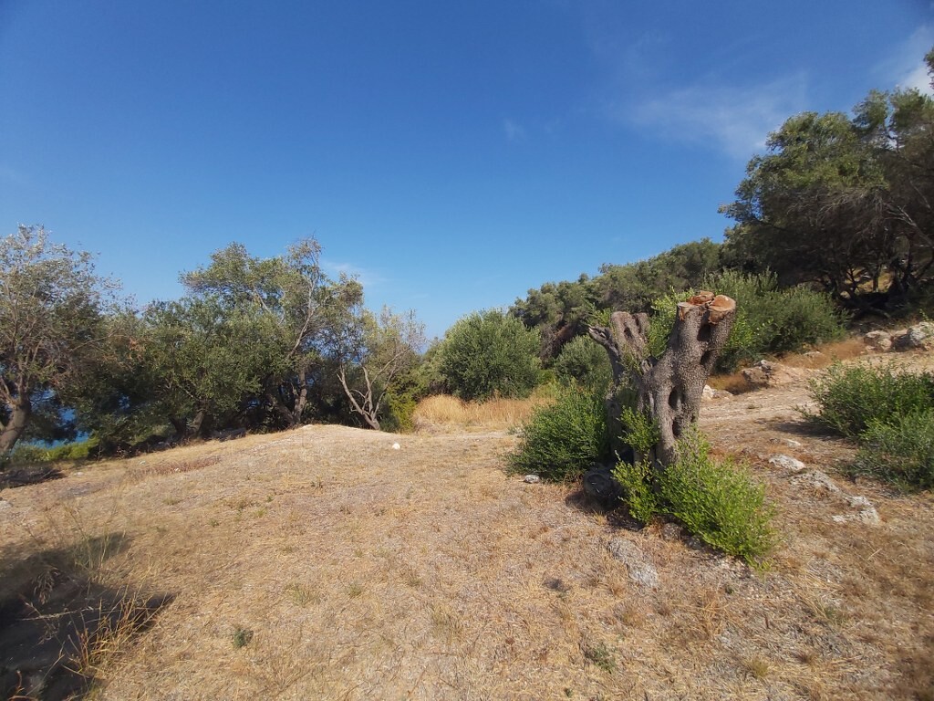 Земля на Корфу, Греция, 8 600 м² - фото 7