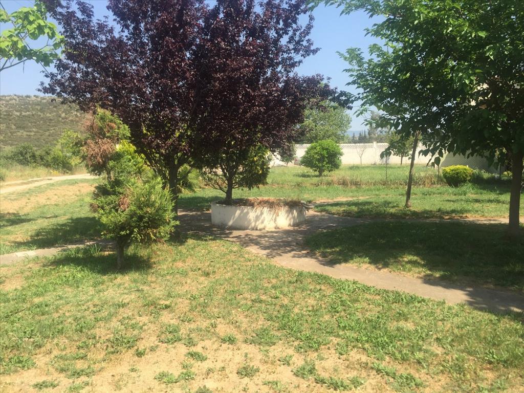 Дом на Халкидиках, Греция, 180 м² - фото 7