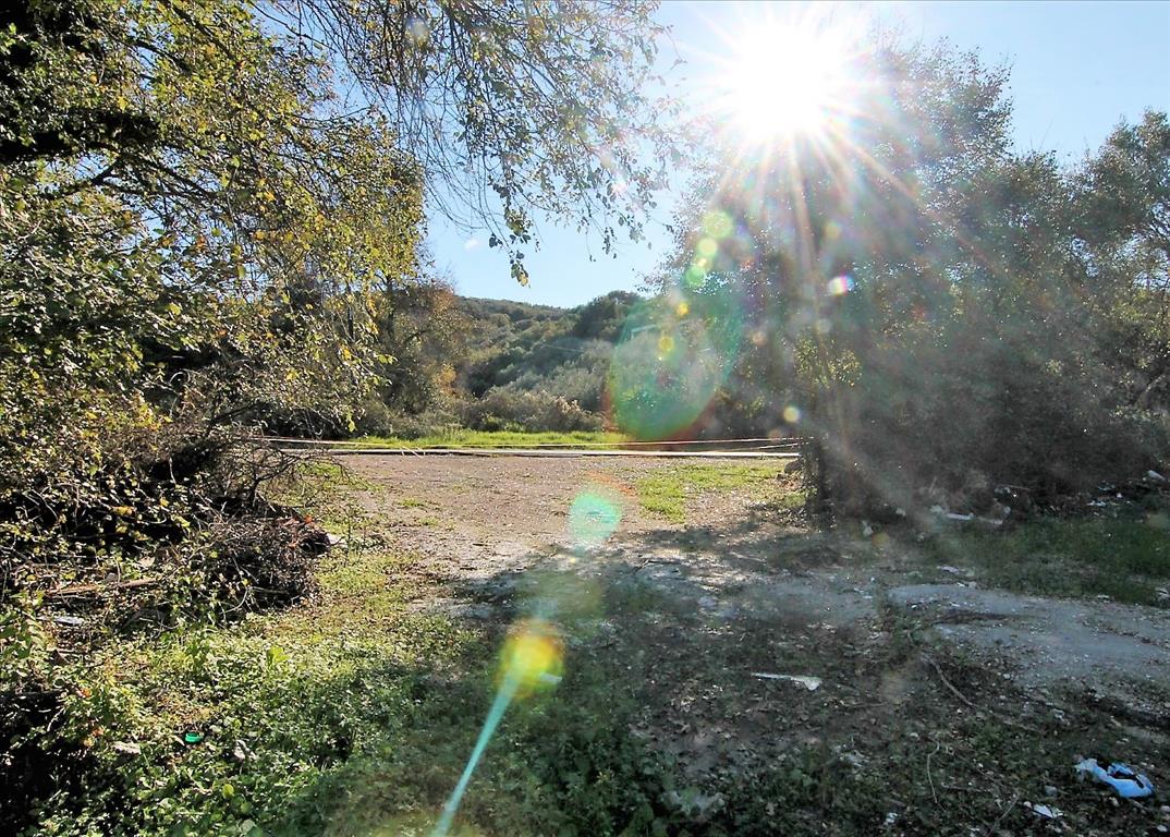 Земля на Корфу, Греция, 5 000 м² - фото 7