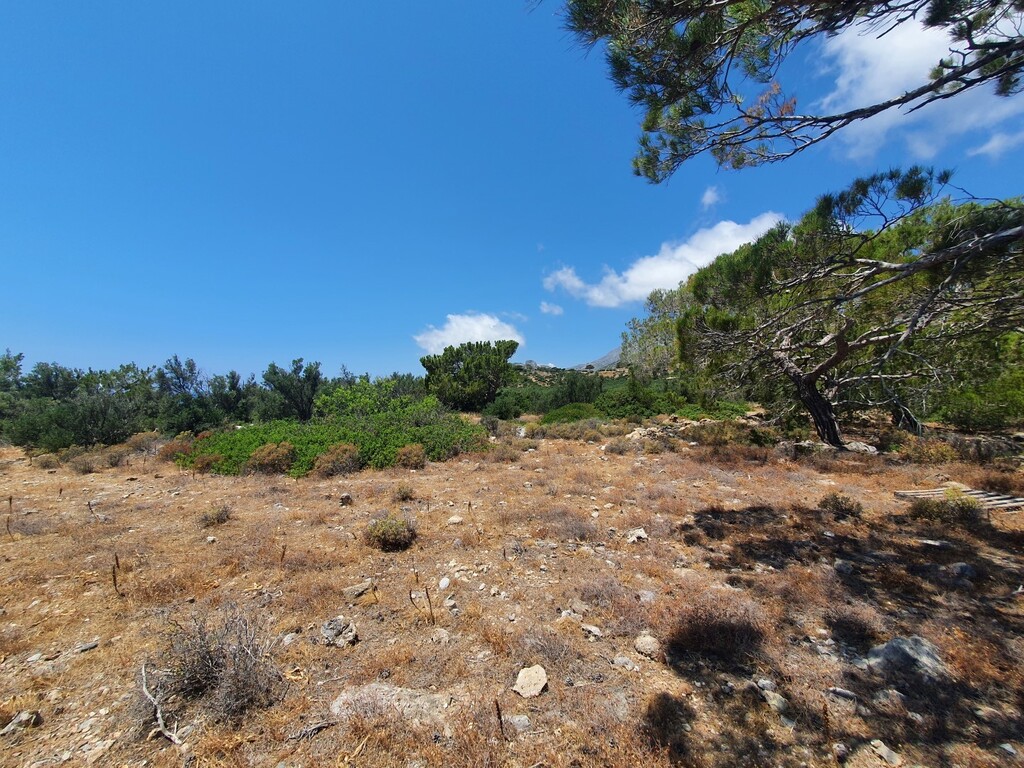 Земля в Ираклионе, Греция, 9 068 м² - фото 7