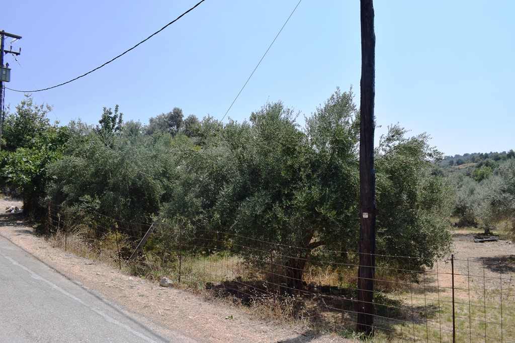 Земля в Ираклионе, Греция, 11 500 м² - фото 7