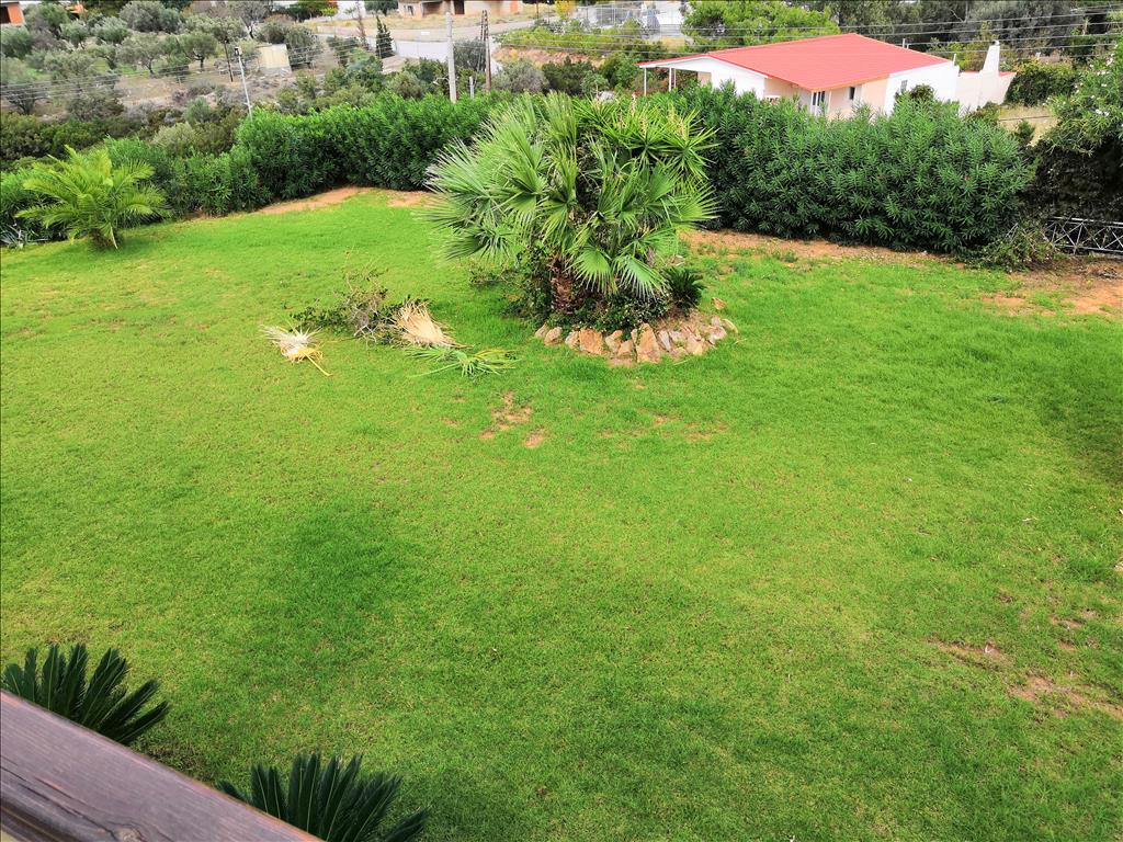 Вилла в Аттике, Греция, 520 м² - фото 7