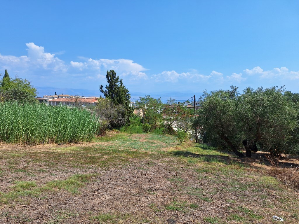 Земля на Корфу, Греция, 12 000 м² - фото 7