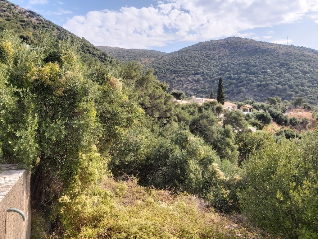 Земля на Корфу, Греция, 18 000 м² - фото 7