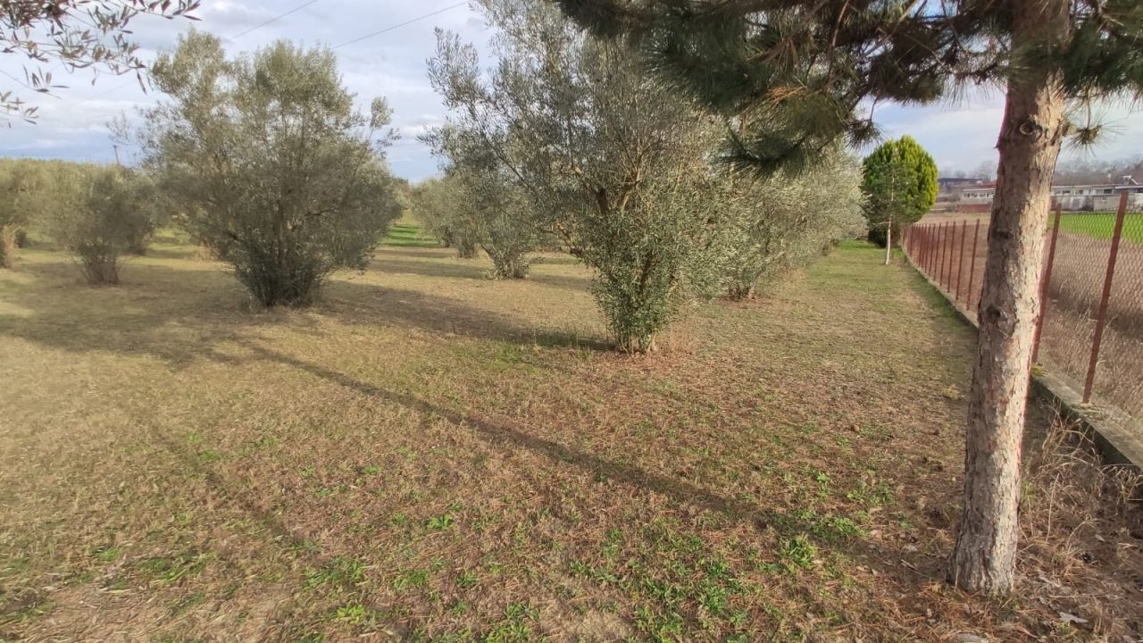 Дом в Олимпиаки-Акти, Греция, 156 м² - фото 7