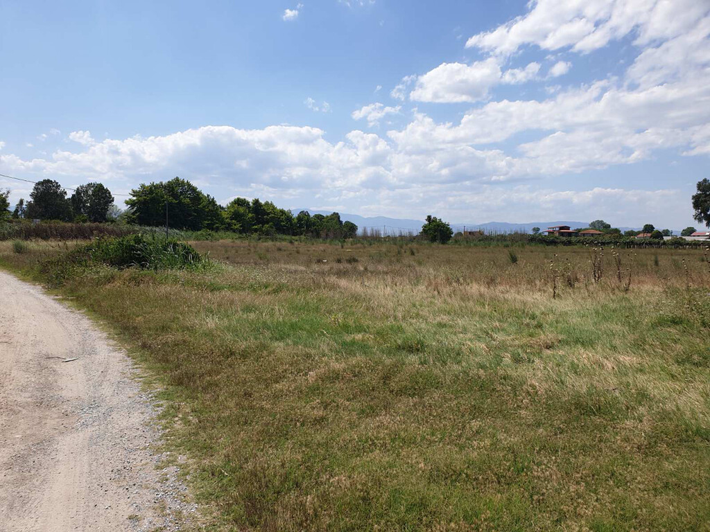 Земля в Олимпиаки-Акти, Греция, 12 955 м² - фото 7