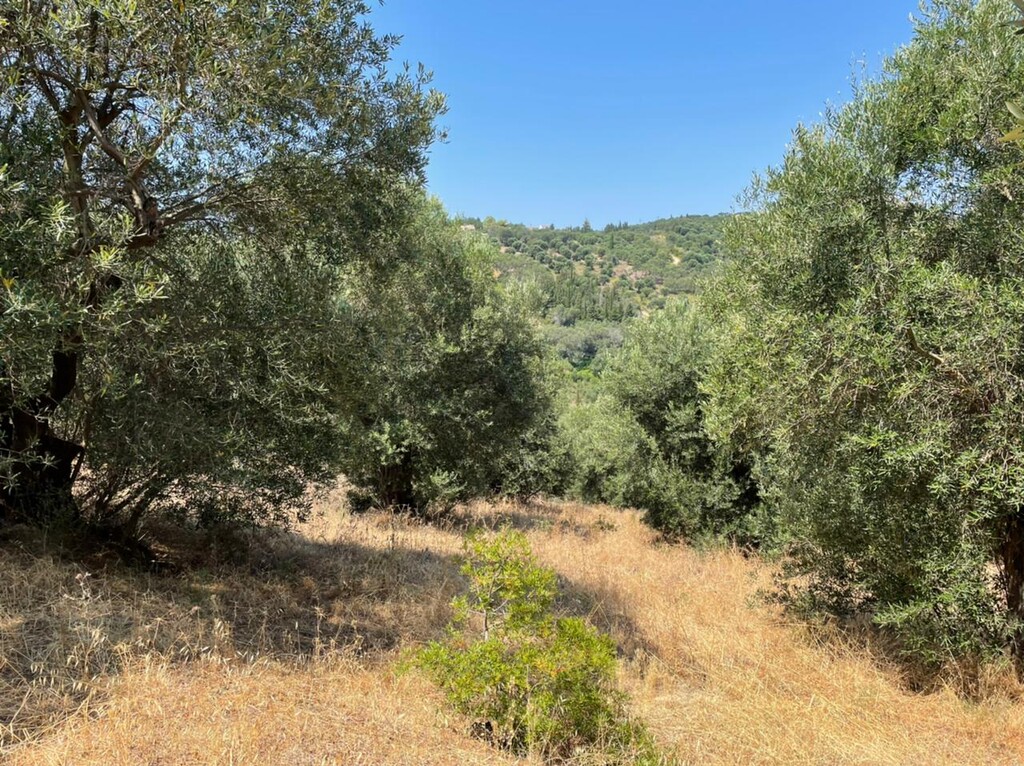 Земля на Корфу, Греция, 5 200 м² - фото 7