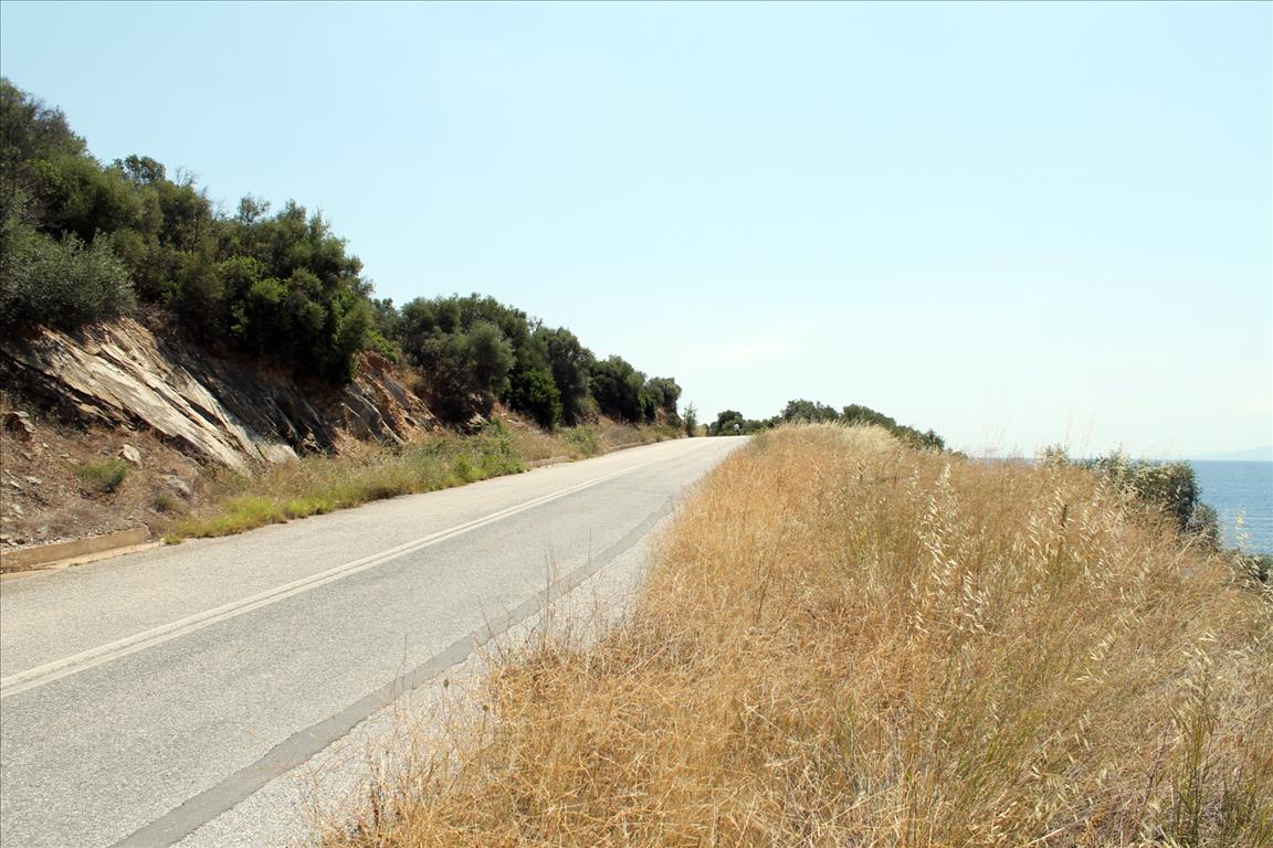 Земля на Халкидиках, Греция, 16 500 м² - фото 7