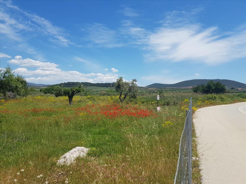 Земля в Ситонии, Греция, 449 м² - фото 7