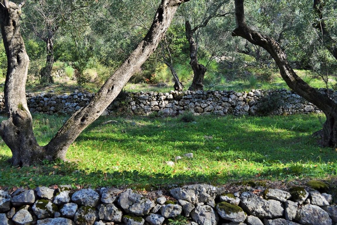 Земля на Корфу, Греция, 7 606 м² - фото 7