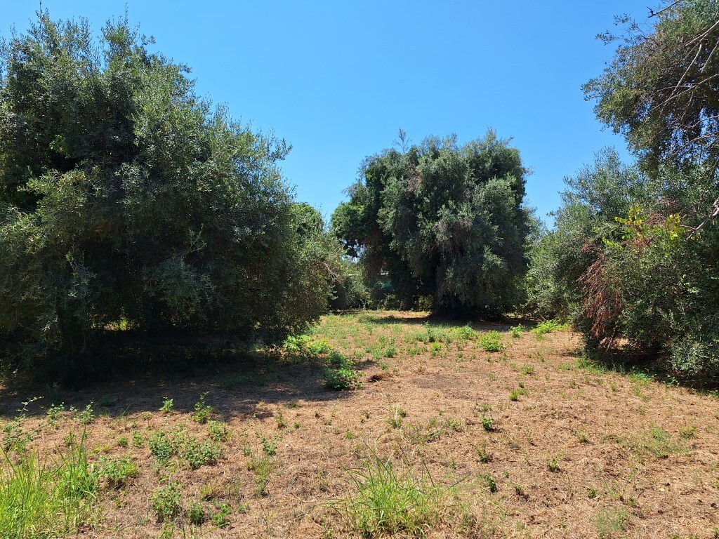 Земля на Корфу, Греция, 4 600 м² - фото 7