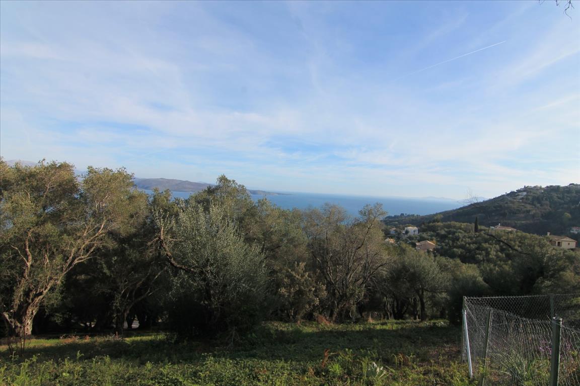 Земля на Корфу, Греция, 2 400 м² - фото 7