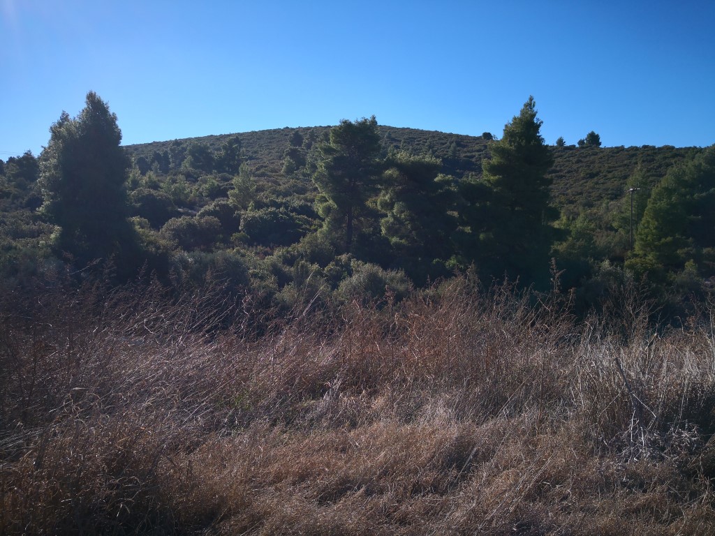 Земля в Ситонии, Греция, 12 000 м² - фото 7