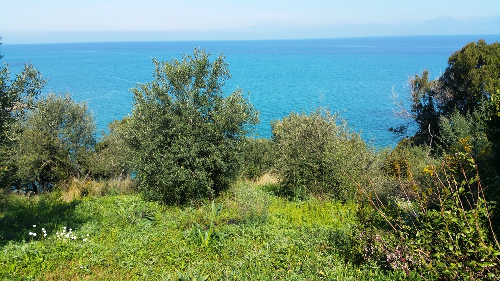 Земля на Корфу, Греция, 4 010 м² - фото 7