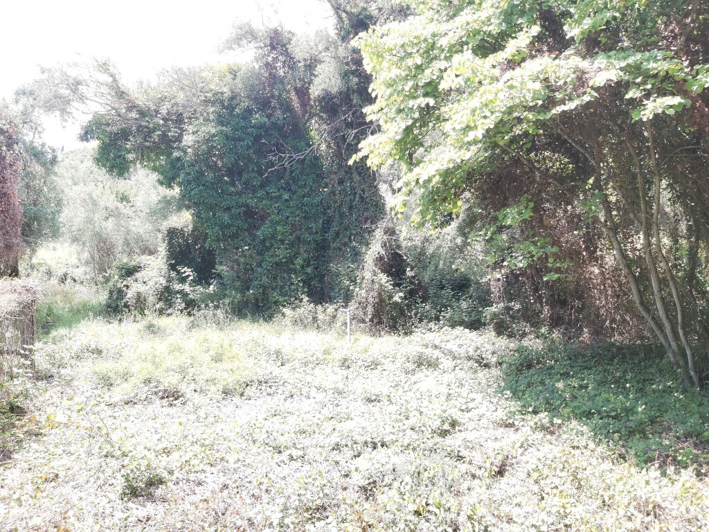 Земля на Корфу, Греция, 700 м² - фото 7