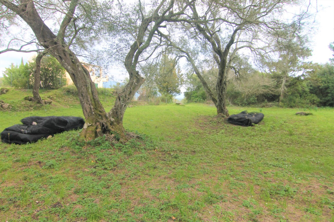 Земля на Корфу, Греция, 4 216 м² - фото 7