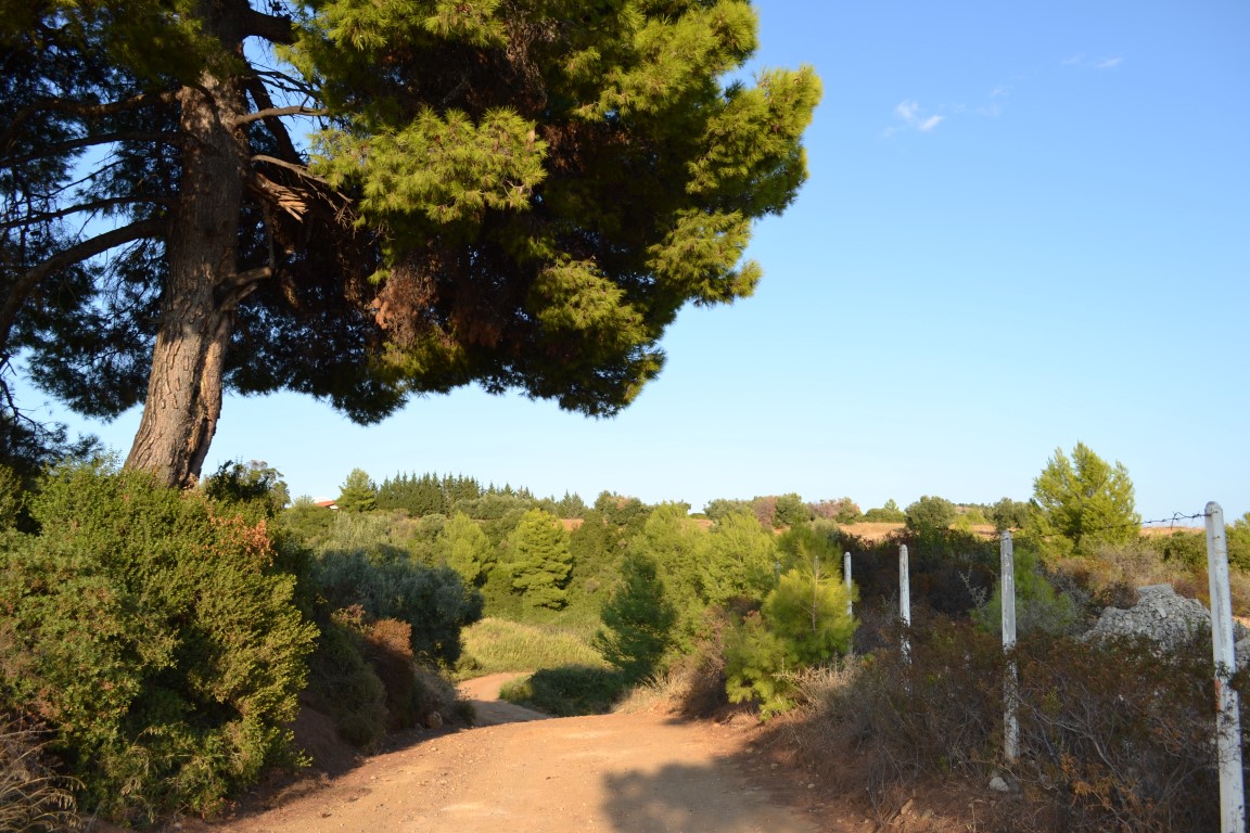 Земля на Кассандре, Греция, 6 616 м² - фото 7