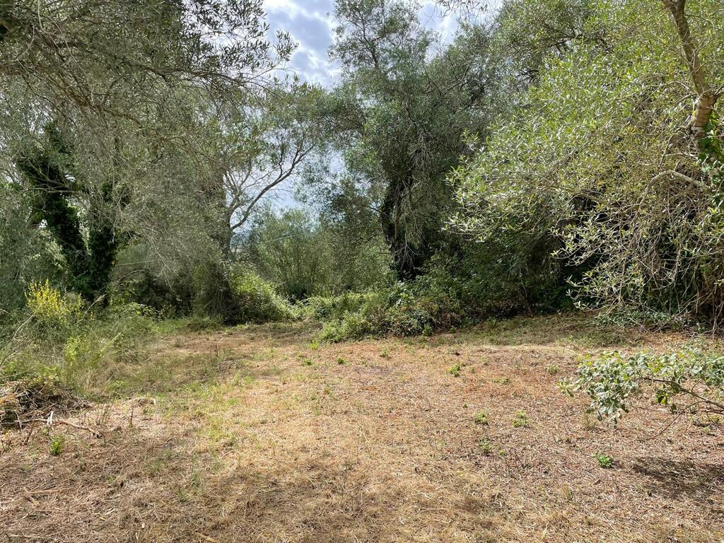 Земля на Корфу, Греция, 5 020 м² - фото 7