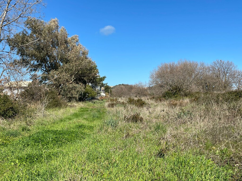 Земля на Корфу, Греция, 3 646 м² - фото 7