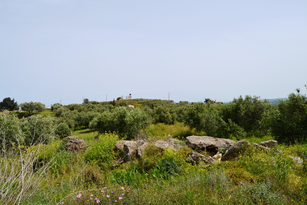 Земля в Ираклионе, Греция, 2 900 м² - фото 7