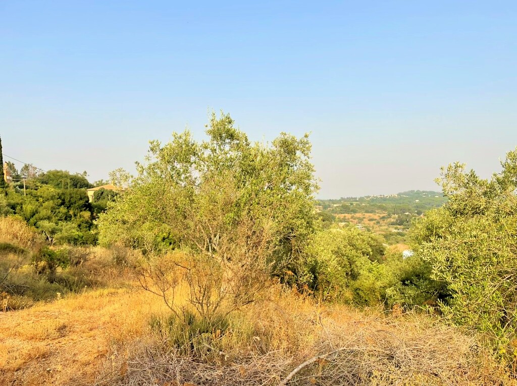 Земля на Корфу, Греция, 21 000 м² - фото 7