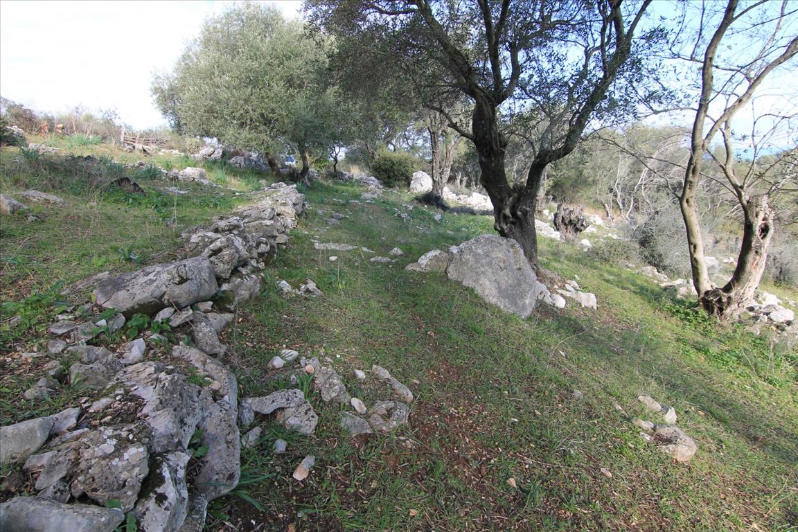 Земля на Корфу, Греция, 6 000 м² - фото 7