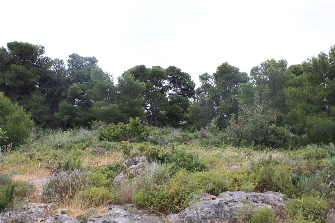 Земля в Ираклионе, Греция, 5 900 м² - фото 7