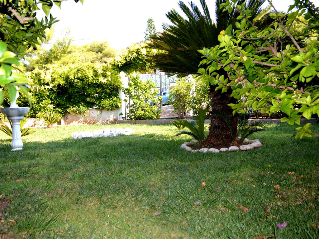 Дом в Аттике, Греция, 100 м² - фото 7