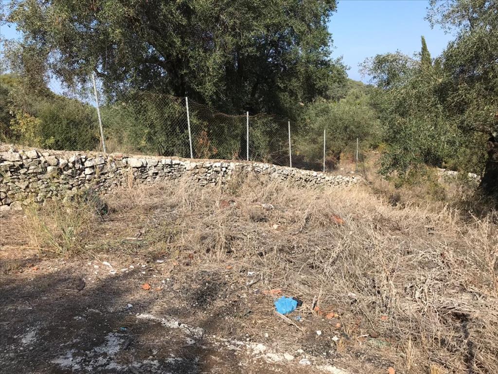 Земля на Корфу, Греция, 4 000 м² - фото 7