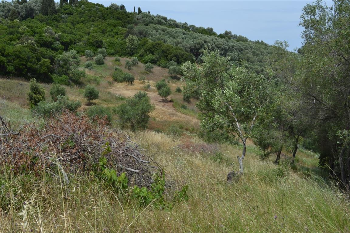 Земля на Корфу, Греция, 12 000 м² - фото 7