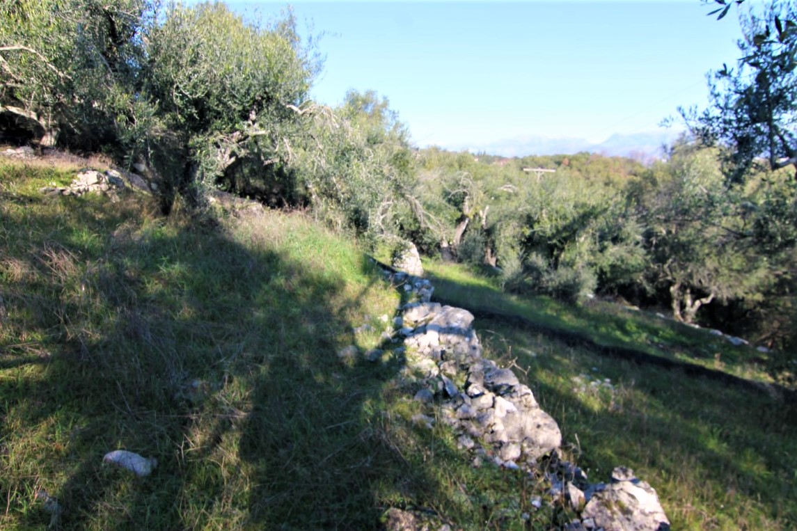 Земля на Корфу, Греция, 6 000 м² - фото 7