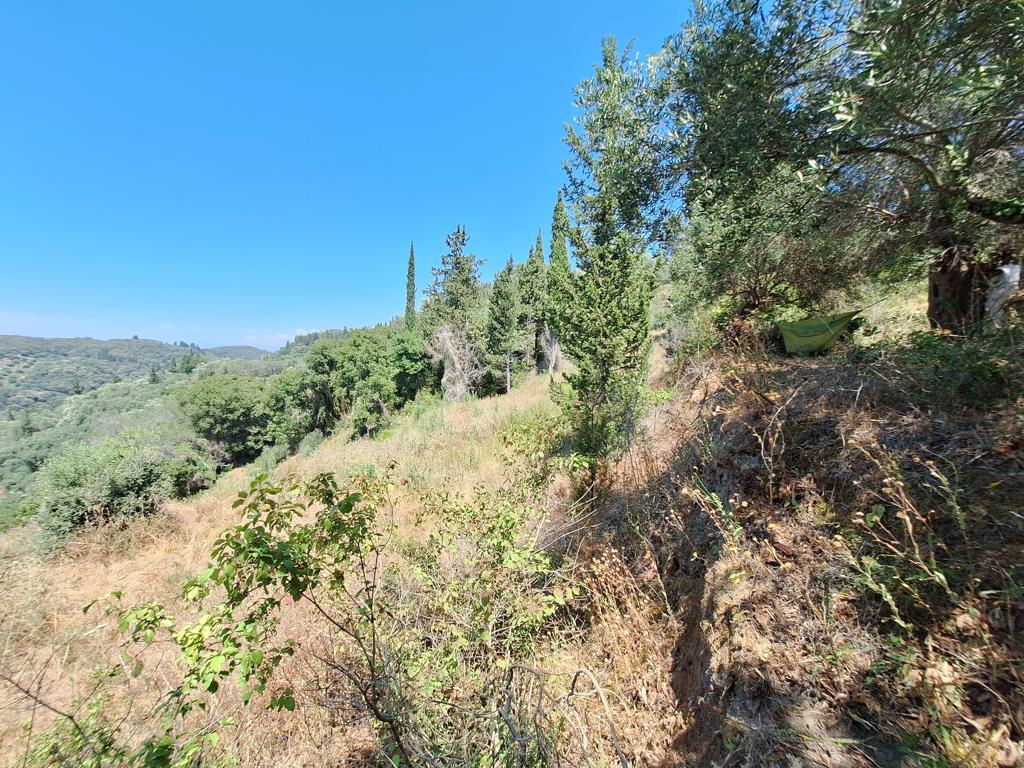 Земля на Корфу, Греция, 3 310 м² - фото 7