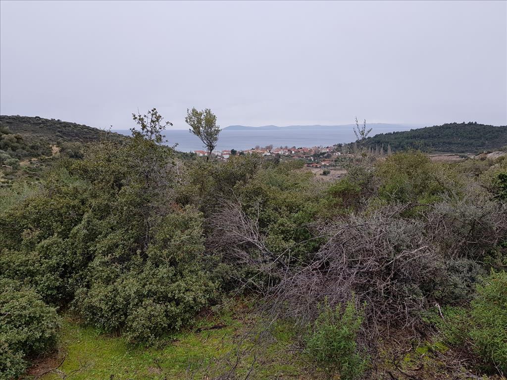 Земля в Ситонии, Греция, 12 500 м² - фото 7