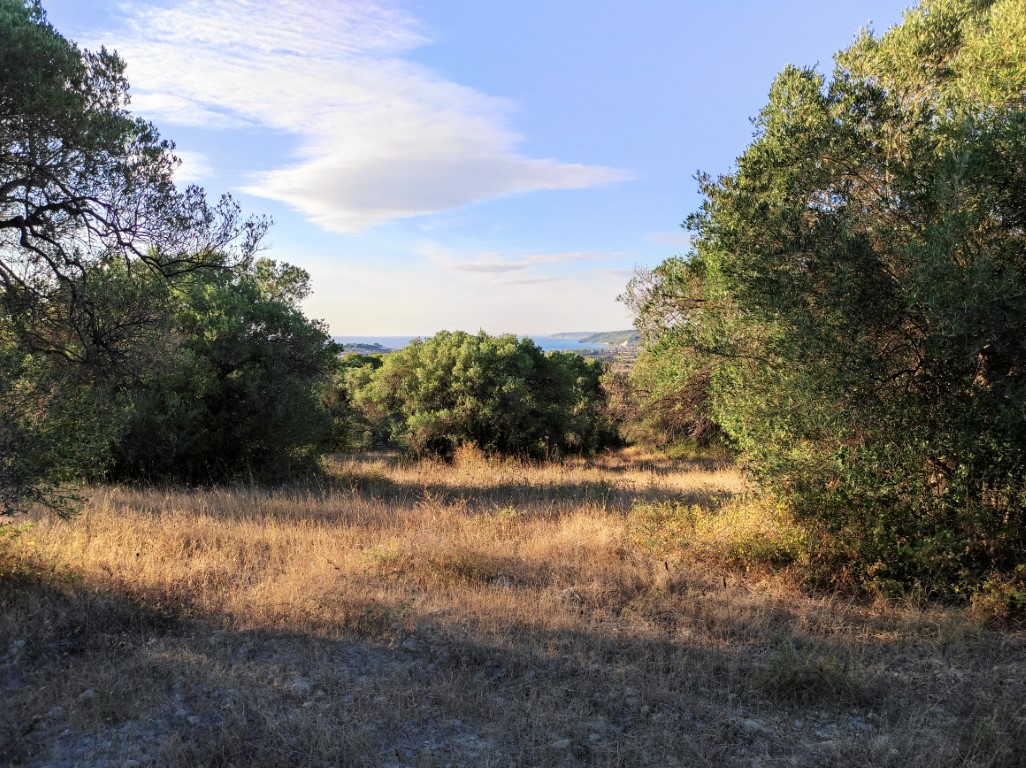 Земля на Кассандре, Греция, 5 500 м² - фото 7