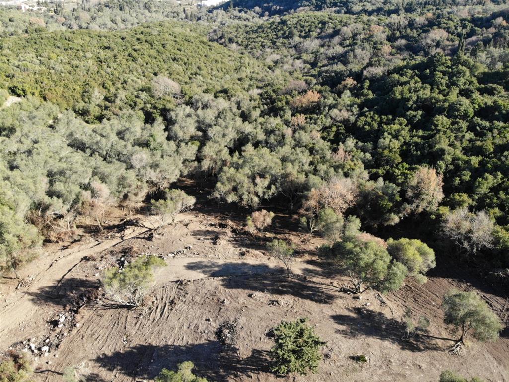 Земля на Корфу, Греция, 5 000 м² - фото 7