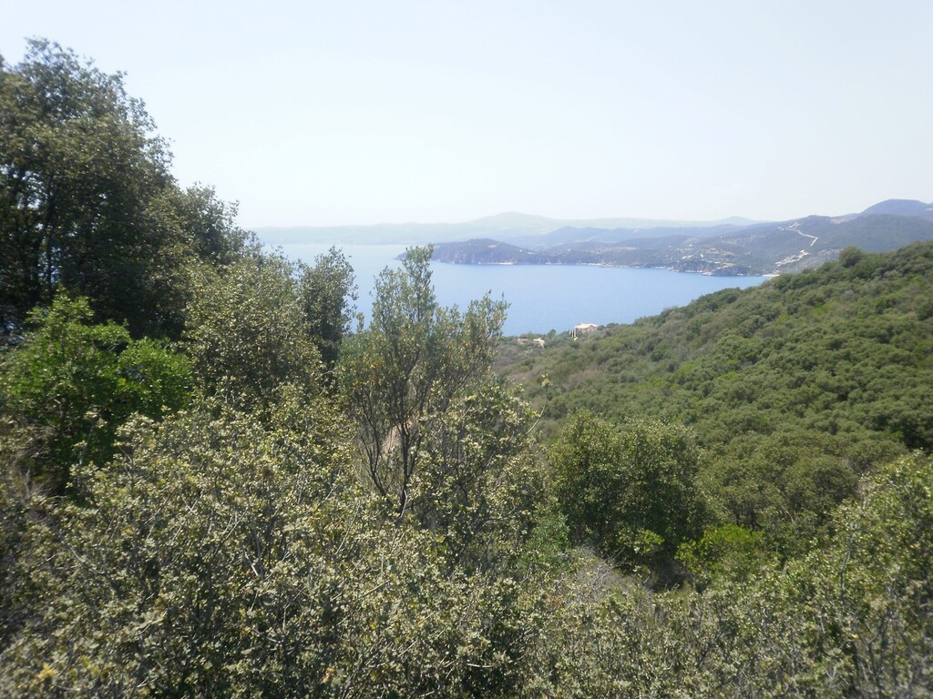 Земля на Халкидиках, Греция, 6 070 м² - фото 7