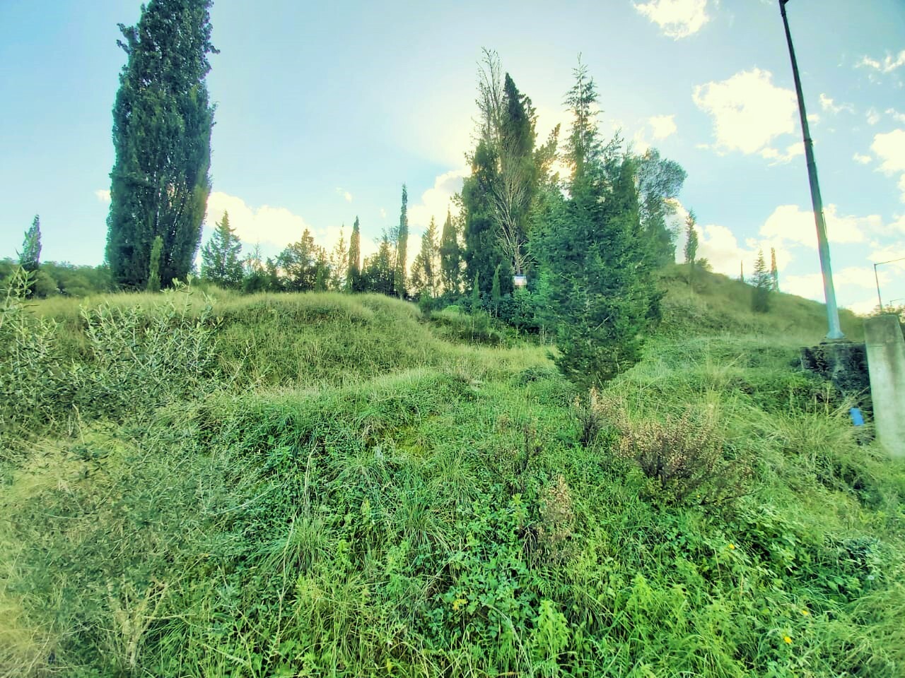 Земля на Корфу, Греция, 5 500 м² - фото 7