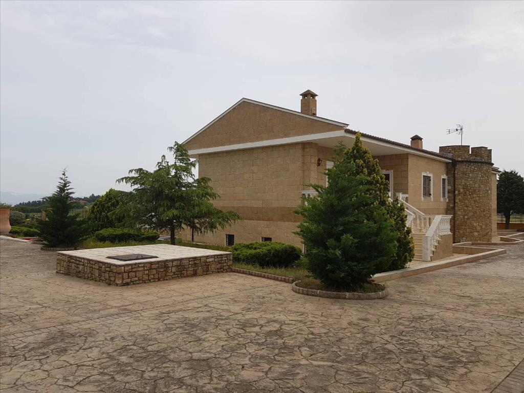 Дом в Салониках, Греция, 400 м² - фото 8