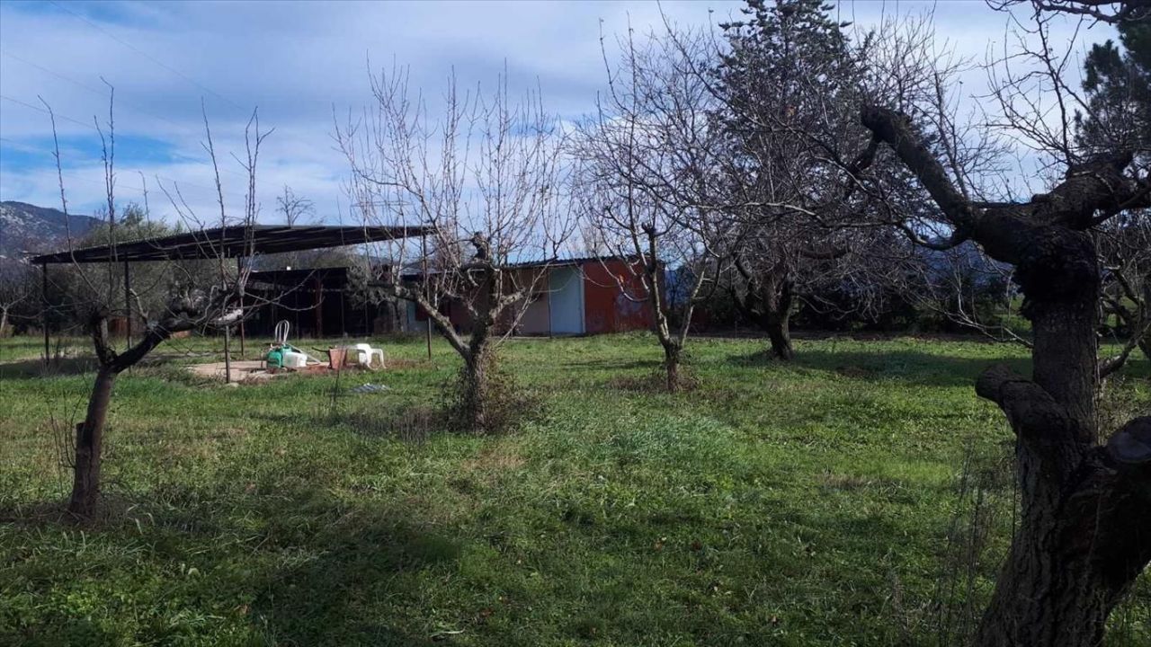 Земля в Салониках, Греция, 18 250 м² - фото 8