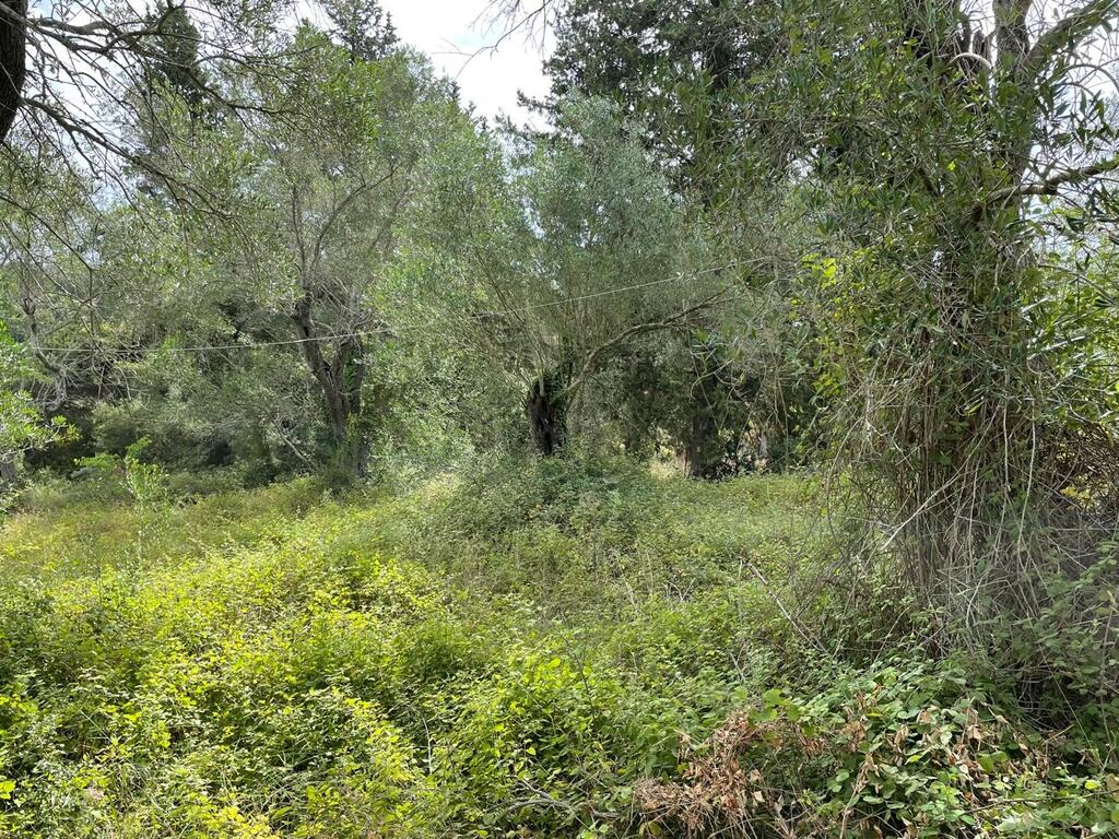 Земля на Корфу, Греция, 5 020 м² - фото 8