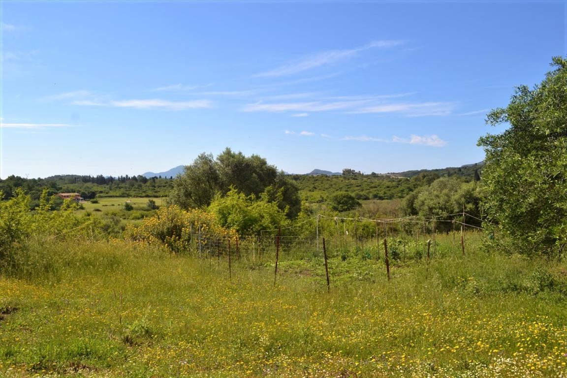 Земля на Корфу, Греция, 12 044 м² - фото 8