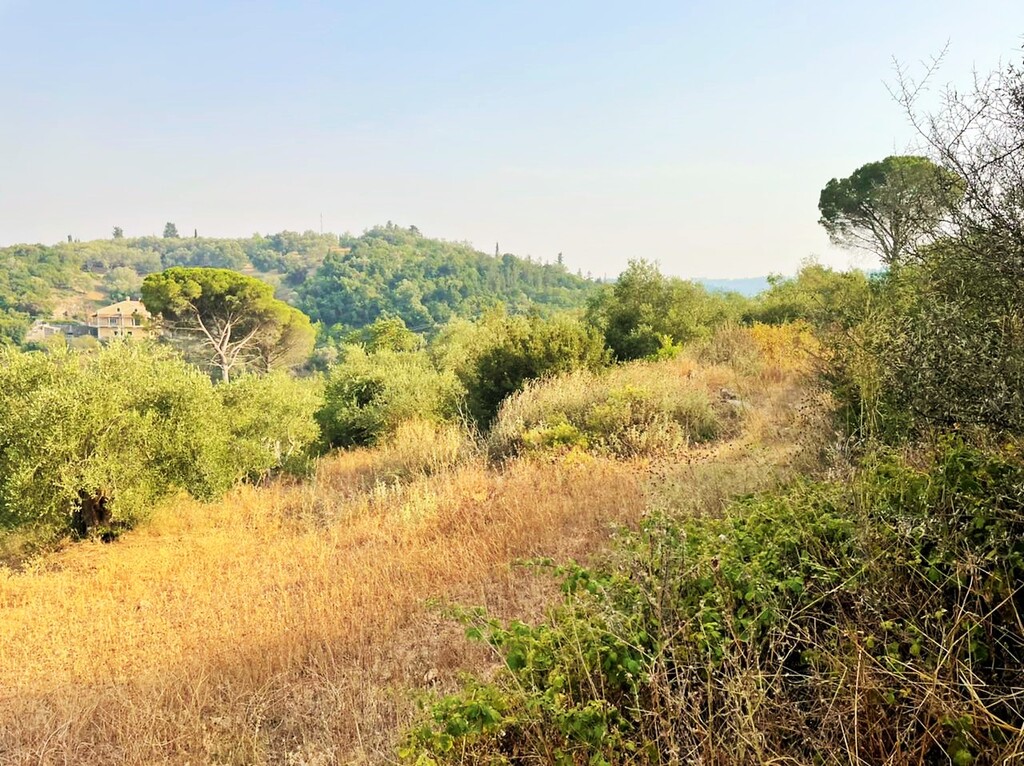 Земля на Корфу, Греция, 21 000 м² - фото 8