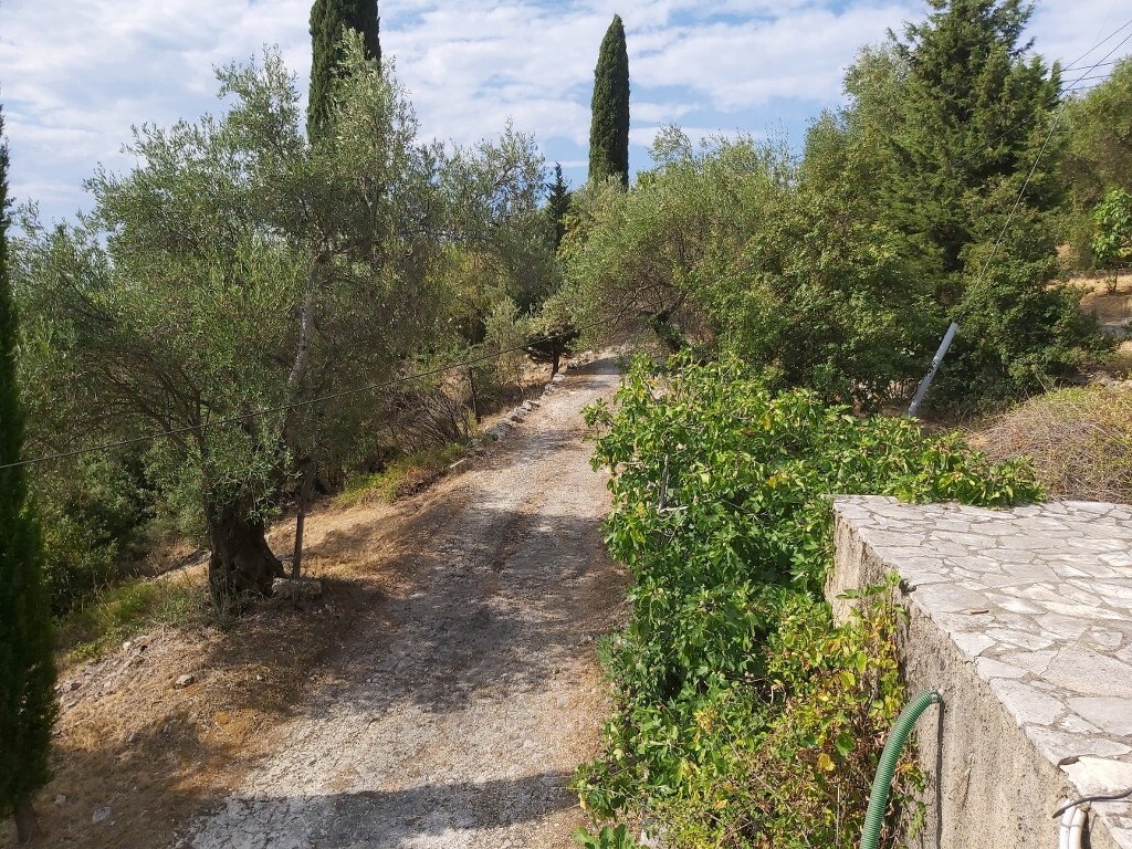 Земля на Корфу, Греция, 18 000 м² - фото 8